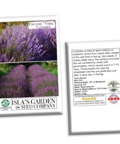 English "Vera" Lavender Seeds for Planting, 1000+ Seeds Per Packet, (Isla's Garden Seeds), Non GMO & Heirloom Seeds, Botanical Name: Lavandula angustifolia, Great Herb Garden Gift 21 81rQ 8gpcL