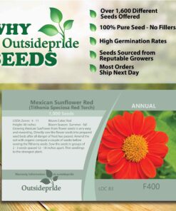 Outsidepride Tithonia Speciosa Red Mexican Sunflower Garden Cut Flowers - 1000 Seeds 37 81rSRhNJQVL