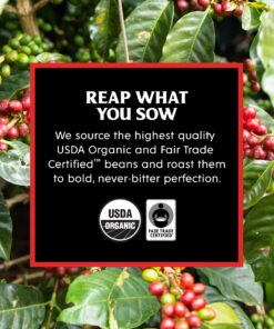 Death Wish Coffee Co. Single Serve Pods - Extra Kick of Caffeine - Dark Roast Coffee Pods - Made with USDA Certified Organic, Fair Trade, Arabica and Robusta Beans (20 Count) 20 Count (Pack of 1) 23 81rTcaSupHL