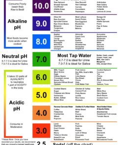 Just Fitter pH Test Strips for Testing Alkaline and Acid Levels in The Body. Track & Monitor Your pH Level Using Saliva and Urine. Get Highly Accurate Results in Seconds. 1 28 81rWlgJ6gL 1