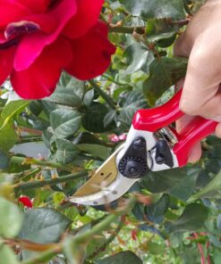 Haus & Garten ClassicPRO 8.5" Bypass Pruning Shears - Premium Garden Shears - Use As Gardening Shears, Garden Clippers, Handheld Heavy-Duty Professional Pruning Shears For Gardening & Pruning Scissors 48 81raY10jwL