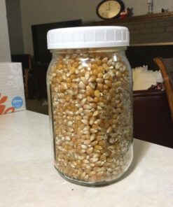 Cornucopia Wide Mouth Plastic Mason Jar Lids (24-Pack Bundle); 2 Dozen Unlined White Ribbed Lids, 86-450 Size 24 Lid Basic Set w/ Lids Only 33 81rbmkNnpQL