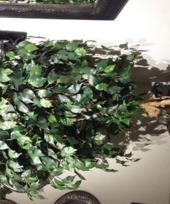 Nearly Natural 6' Palace Style Silk Artificial Ficus Tree, 6ft, Green 5216 6 ft 43 81rc1STYSL