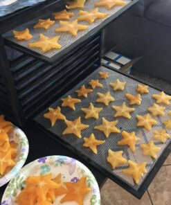 Excalibur 3900B Electric Food Dehydrator Machine with Adjustable Thermostat Accurate Temperature Control and Fast Drying, 9 tray, Black 35 81reUGyAwXL