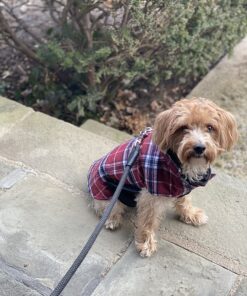 Kuoser Cozy Waterproof Windproof Reversible British Style Plaid Dog Vest Winter Coat Warm Dog Apparel for Cold Weather Dog Jacket for Small Medium Large Dogs with Furry Collar (XS - 3XL),Red M Medium (Pack of 1) Red 41 81riSZcBR3L