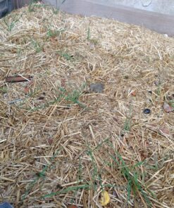 EZ Straw Seeding Mulch with Tack - Biodegradable Organic Processed Straw – 2.5 CU FT Bale (Covers up to 500 sq. ft.), Multi 34 81ric3V 9OL
