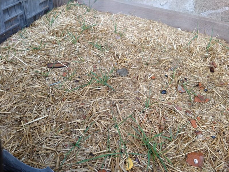 EZ Straw Seeding Mulch With Tack Biodegradable Organic Processed