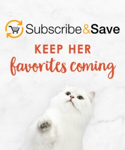 Purina Fancy Feast Salmon Feast Classic Grain Free Wet Cat Food Pate - (24) 3 oz. Cans 3 Ounce (Pack of 24) 30 81rj5QFlLwL