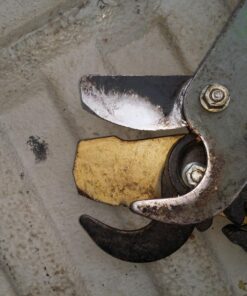 Fiskars 32" PowerGear Bypass Lopper and Tree Trimmer - Sharp Precision-Ground Steel Blade for Cutting up to 2" Diameter - Lawn and Garden Tools - Orange/Black Bypass Lopper 32" 52 81rkwEKr18L