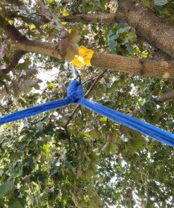 Safe Tree Swing Hanging Kit (Set of 2) - 10ft Long Straps with Two Alloy Carabiners and 2000 Lb Breaking Strength - Easy & Fast Installation for All Types of Swings and Children Black/Yellow 32 81rkynyJNL