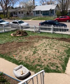 Scotts Turf Builder Grass Seed Sun & Shade Mix, Grows in Extreme Conditions & Spreads for a Durable Lawn, 7 lbs. 1 Pack 7 lb. 62 81rmHdPJaFL 1