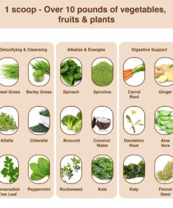 Detox Organics Chocolate Superfood Powder, Detox Cleanse for your Body, Bloating Relief, Immune Support Supplement Smoothie Detox Mix, Greens Blend Superfood, Low Carb, Vegan, Soy Free, Dairy Free 26 81ro f2NW6L