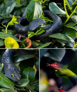 Whaline Large Realistic Rubber Snakes 52inch and 3Pcs Fake Snake Prank Toys 31.5inch, 2 Size Scary Fake Black Mamba Snake for Garden Props to Keep Birds Away, Pranks, Halloween Party Decoration 13 81rpqsqPGPL