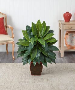 Nearly Natural 6688 Cordyline with Vase Decorative Silk Plant, Green,35" x 12" x 12" 13 81rq4DGmYmL