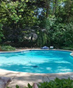 CuLator Metal Eliminator & Stain Preventer for Pools & Spas PowerPak 1.0 1-Pack 45 81rq8yQBrAL