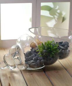 Hosley Glass Shell Vase 8 Inches Long Ideal Gift for Weddings Spa Aromatherapy Flower Arrangements Bowl for Orbs DIY Craft Projects LED Votive Candle Gardens O9 21 81s ysk2rVL