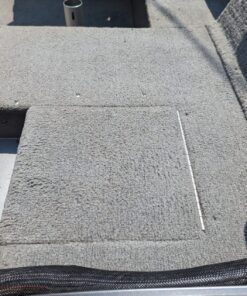 STAR BRITE Ultimate Carpet Clean - 22 OZ (088922P) 17 81s0ByruVDL