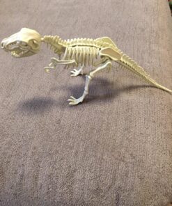 Large Dinosaur Excavation Kit 26 81s0dXtLZIL