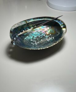 Hand Selected Abalone Shell, 6 Inches or Larger. Perfect for Holding Incense, Trinkets, and More 34 81s67eP8GlL