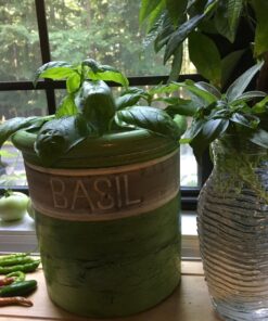 Culinary Herb Seeds Variety Pack - Outdoor & Indoor Herb Garden Kit - 10 Non-GMO Herb Garden Seeds for Planting & Book - Basil Seeds, Dill Seeds, Rosemary Seeds, Thyme Seeds, & More 31 81s6BR6jxBL