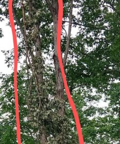 Sportsman Pocket Chainsaw 36 Inch Long Chain With Fire Starter Best Compact Folding Hand Saw Tool for Survival Gear, Camping, Hunting, Tree Cutting or Emergency Kit. Replaces Your Pruning & Pole Saw 51 81sACQ82T3L 1