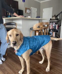 Kurgo Loft Dog Jacket, Reversible Dog Coat, Wear with Harness or Sweater, Water Resistant, Reflective, Winter Coat For Large Dogs (Coastal Blue, XL) Extra Large Coastal Blue/Orange 73 81sBTqJFyOL