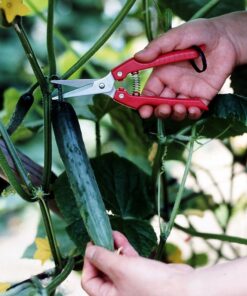 ARS Needle Nose Pruner HP-SE45, Orange 1 7 81sC941HWEL