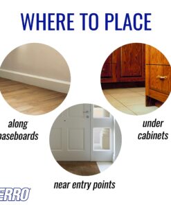 TERRO Liquid Ant Killer ll T200, 2 oz 31 81sCMizYXmL