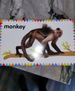 My First Touch and Feel Picture Cards: Animals (My First Board Books) 55 81sI2w2I77L