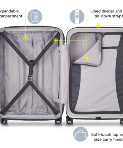 DELSEY Paris Titanium Hardside Expandable Luggage with Spinner Wheels, Silver, Carry-On 19 Inch 17 81sLzV2373L