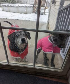 Zack & Zoey Nor'Easter Blanket Coat, X-Large, Red 1 40 81sMYpE0IwL 1