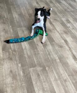 Outward Hound Durablez Tough Plush Squeaky Dog Toy, Snake, Blue, XL Blue Snake 36 81sPAJpZvSL