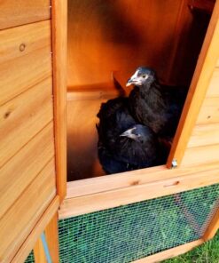 Best Choice Products 80in Outdoor Wooden Chicken Coop Multi-Level Hen House, Poultry Cage w/Ramps, Run, Nesting Box, Wire Fence, 3 Access Areas 60 81sU5 Sk8tL