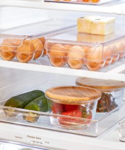 iDesign Plastic Egg Holder for Refrigerator with Handle and Lid, Fridge Storage Organizer for Kitchen, Set of 1, Clear 35 81sY7bcQmL