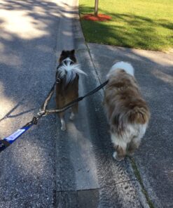 Pet Fit For Life 64" Premium Two Dog Leash: Premium Double Leash for Dogs, Provides Control and Comfort - Durable Foam Rubber Handle, Shock Absorbing Cord - Includes Bonus Collapsible Water Bowl Large 49 81sbpabMukL