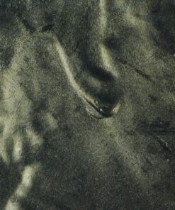 Andonstar 5 inch Screen 1080P Digital Microscope HDMI Microscope for Circuit Board Repair Soldering Tool ADSM302 55 81si35S VYL