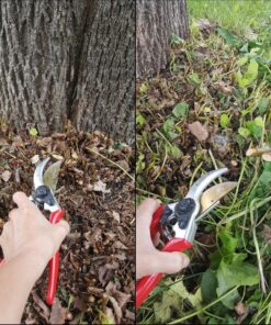 Carbon Steel Bypass Garden Shears - Ultra Sharp Blades with Safety Lock & Comfort Grip - Hand Trimmer with Sap Groove Easily Cuts Through Branches & Stems for Indoor & Outdoor Use 44 81sixbNWZPL