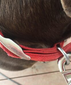 Prestige Super-Beast Dog Tie-Out, 30-Feet 8 81sknLVi1mL