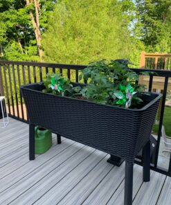 Keter Easy Grow 31.7 Gallon Raised Garden Bed with Self Watering Planter Box and Drainage Plug-Perfect for Growing Fresh Vegetables, Flowers and Herbs Graphite 43 81smhfcvSYL