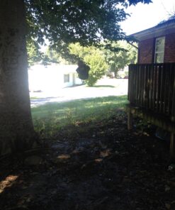 Squirrel Products Heavy Duty Green Disc Tree Swing with Rope for Outdoor Play - Easy DIY Addition to Playset or Tree 34 81sr4iRZSL