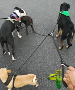 Heavy Duty 3 Dog Leash No Tangle Multiple Dog Leash Triple Dog Leash(30-200 Lbs) Double Dog Leash for 2 Dogs,360°Swivel 3 Way Dog Leash Interchangeable Two Dog Leash with Hand-Protected Handle L / For 20LBs - 150LBs Dogs Black 39 81srGAhSHTL