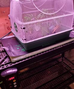 EarlyGrow 93763 Medium Seed and Herb Domed Propagator with Vented Side Height Extension, Extender, Green Medium with Side Extender 48 81suforJVJL