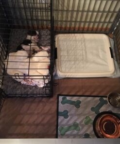 MidWest Homes for Pets Newly Enhanced Double Door iCrate Dog Crate, Includes Leak-Proof Pan, Floor Protecting Feet, Divider Panel & New Patented Features X-Small 56 81sukFV71RL