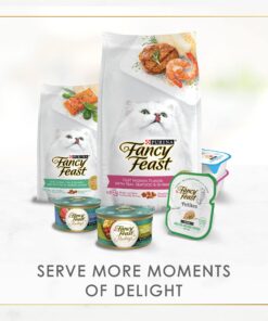 Purina Fancy Feast Salmon Feast Classic Grain Free Wet Cat Food Pate - (24) 3 oz. Cans 3 Ounce (Pack of 24) 25 81svEidR41L 6