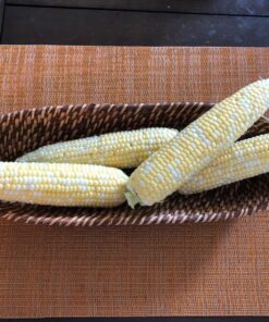 Seed Needs, 230+ Peaches & Cream Sweet Corn Seeds (Zea mays) Untreated and Non-GMO Bulk 30 81sw489ZwgL