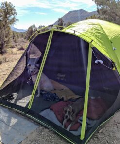 Coleman Carlsbad Dark Room Camping Tent with Screened Porch, 4/6 Person Tent Blocks 90% of Sunlight and Keeps Inside Cool, Weatherproof Tent with Easy Setup and Screened-In Porch 6-person 48 81swIswh0KL
