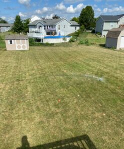 Scotts Turf Builder Starter Fertilizer for New Grass, Use When Planting Seed, 5,000 sq. ft., 15 lbs. Standard 5,000 sq. ft. 38 81swyZhEbyL