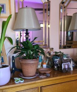 Globe Electric 12398 Set of Two 27" Table Lamps, Bronze Finish, Beige Shades Oil-Rubbed Bronze 40 81sx51 RmeL