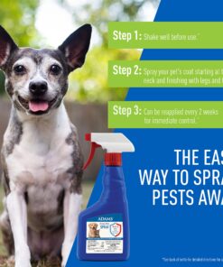 Adams Flea & Tick Spray For Dogs and Cats | Kills Fleas and Ticks Through Contact, Kills Flea Eggs, Flea Larvae, and Prevents Flea Egg Hatch | Controls Flea Reinfestation For Up To 2 Months | 16 Oz 22 81t0sNGLnIL 2