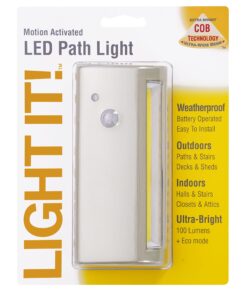 LIGHT IT! by Fulcrum, 20032-301 LED Path Light, Silver, Single Pack 28 81t1qT1yzvL